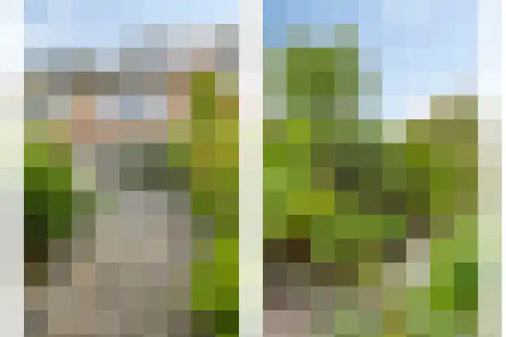 Jol 143 Amstelveen thumbnail 26