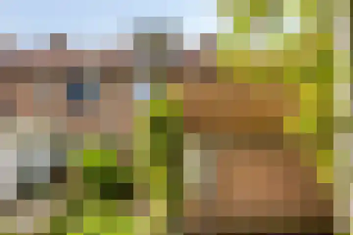 Jol 143 Amstelveen thumbnail 27