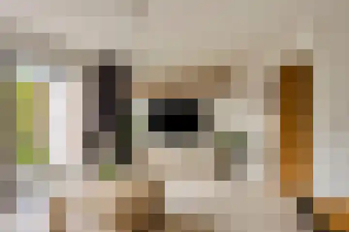 Jol 143 Amstelveen thumbnail 5