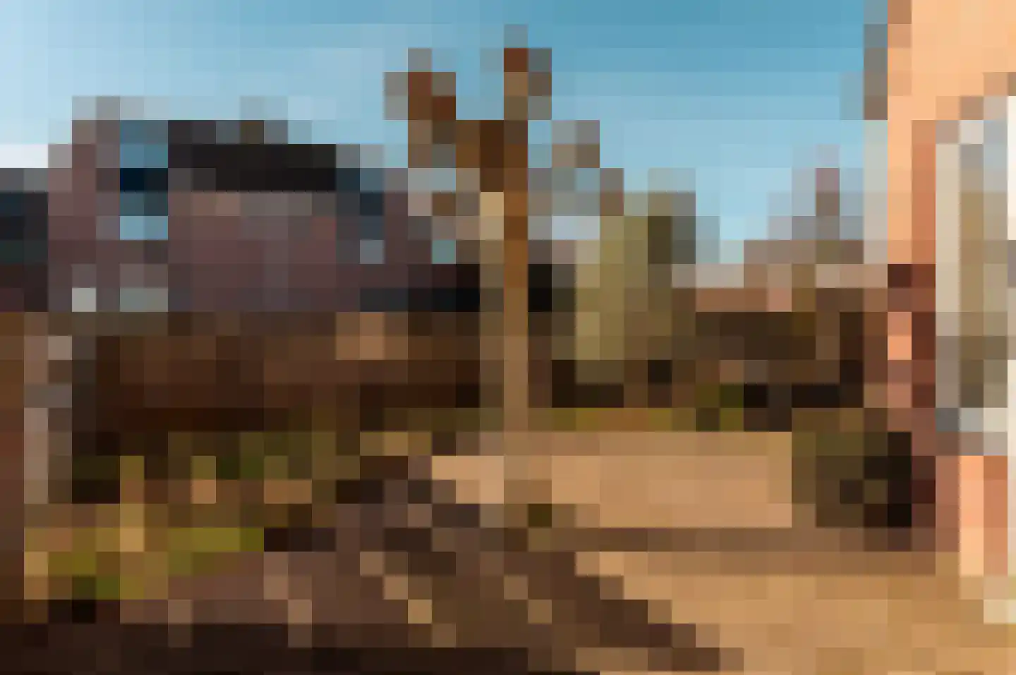 Jol 15 14 Lelystad thumbnail 42