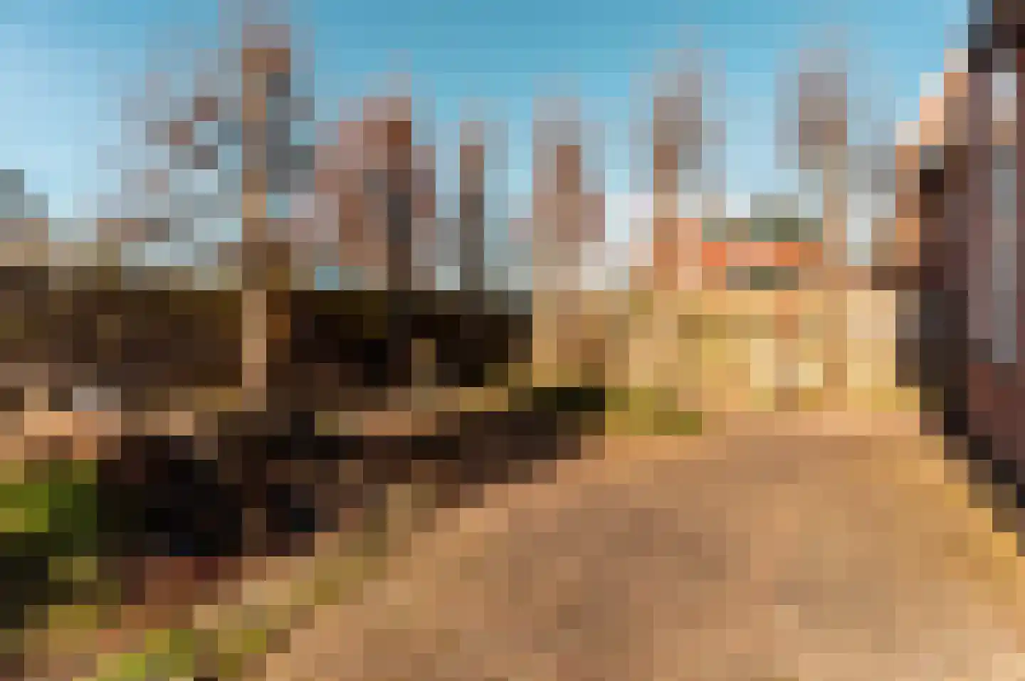 Jol 15 14 Lelystad thumbnail 43