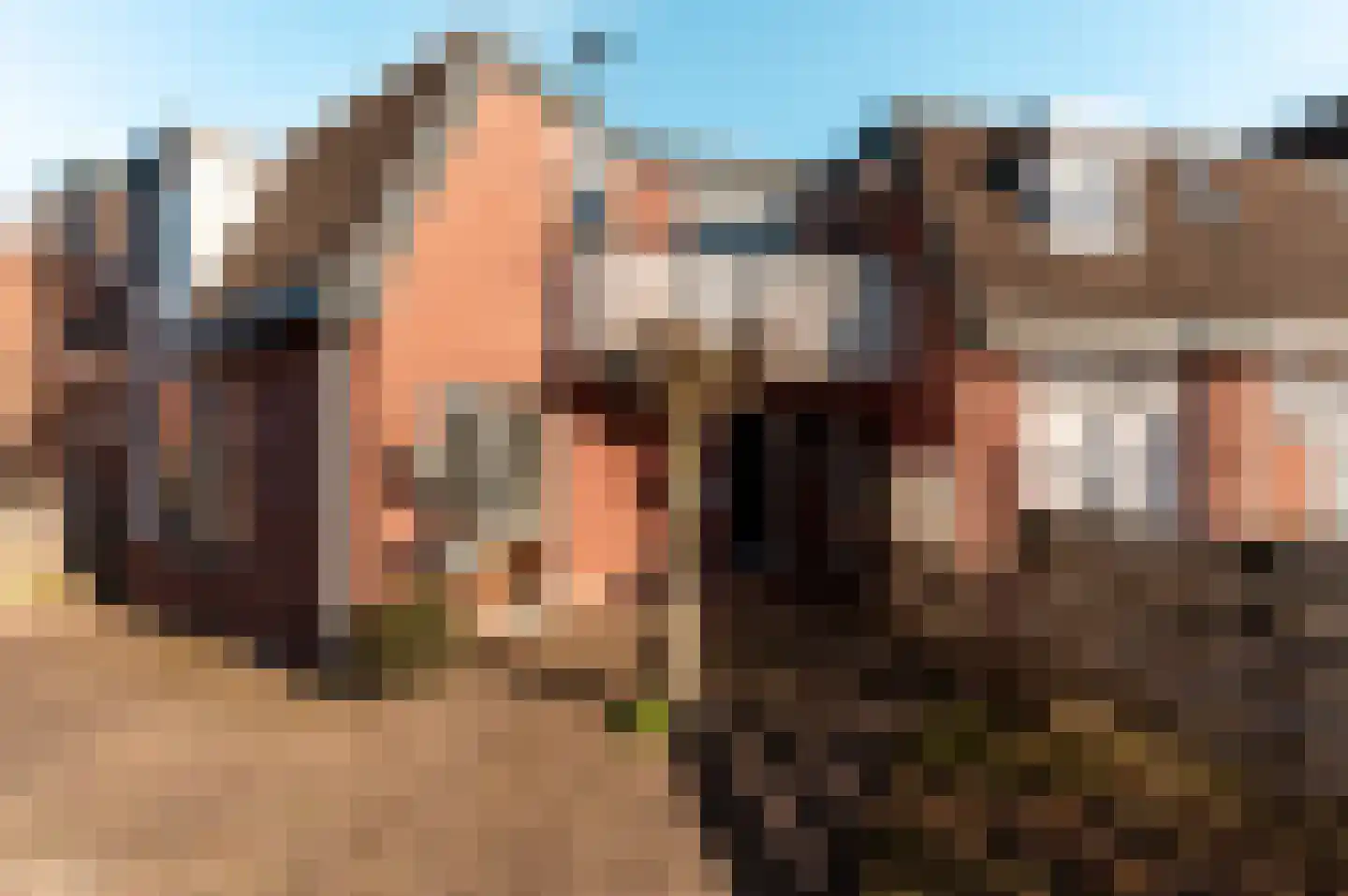 Jol 15 14 Lelystad thumbnail 44