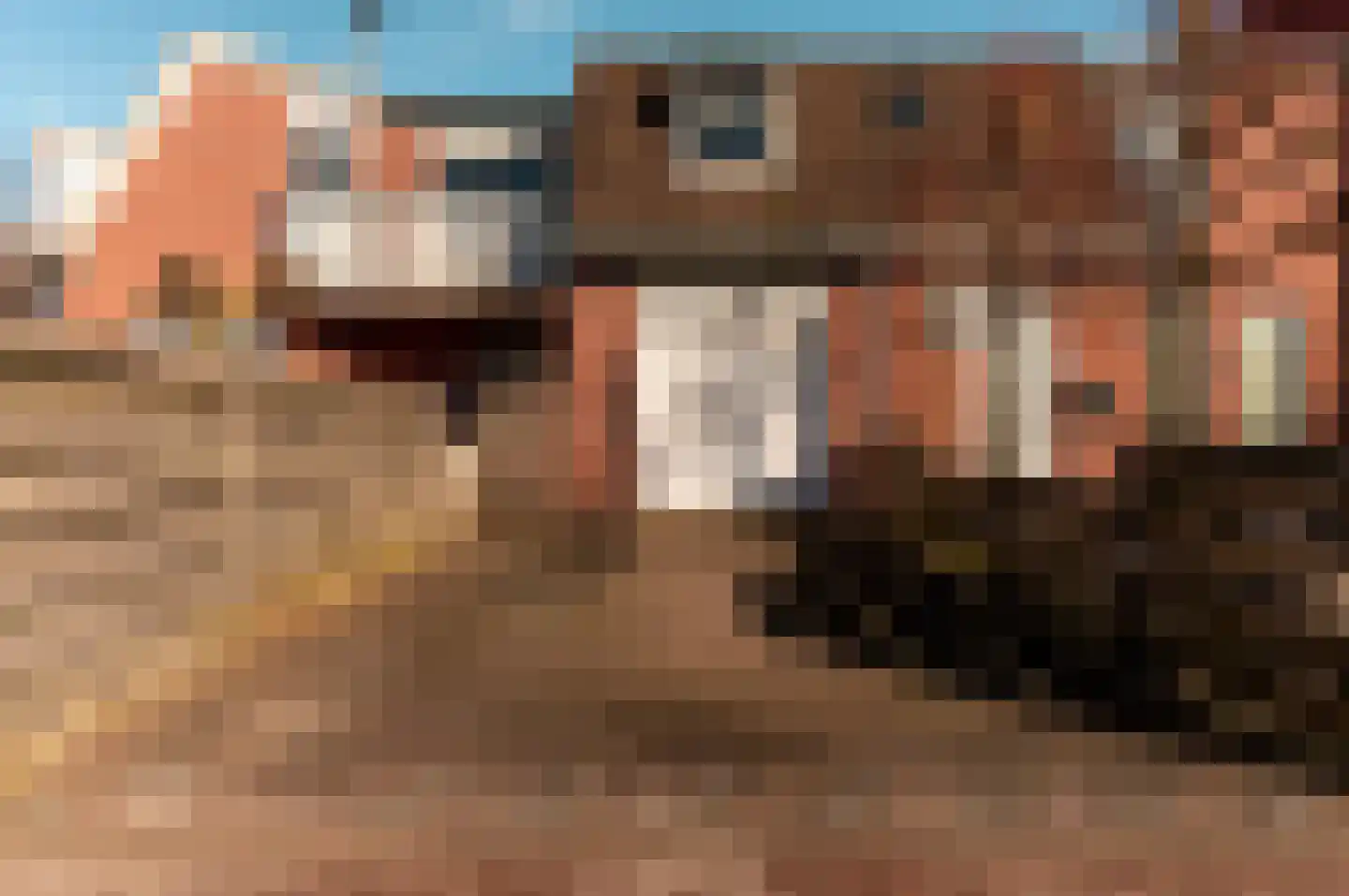 Jol 15 14 Lelystad thumbnail 49