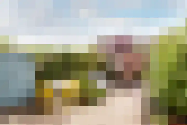 Jol 15 15 16 Lelystad thumbnail 25