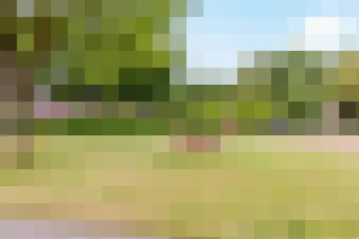 Jol 15 15 16 Lelystad thumbnail 27