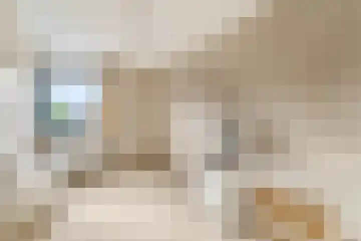 Jol 15 Nijkerk thumbnail 19