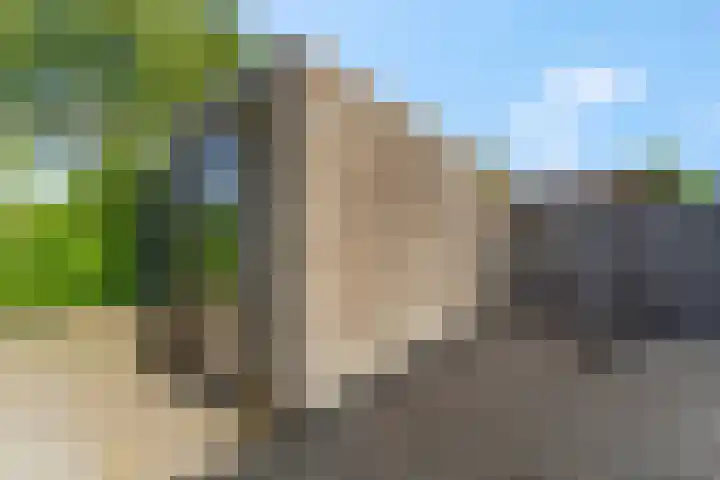 Jol 15 Nijkerk thumbnail 25