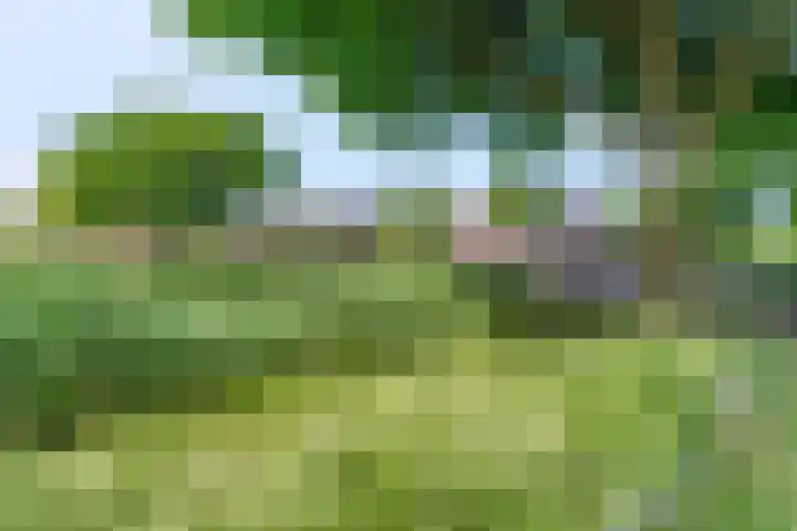 Jol 15 Nijkerk thumbnail 31
