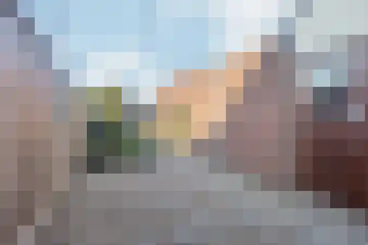 Jol 17 17 33 Lelystad thumbnail 42