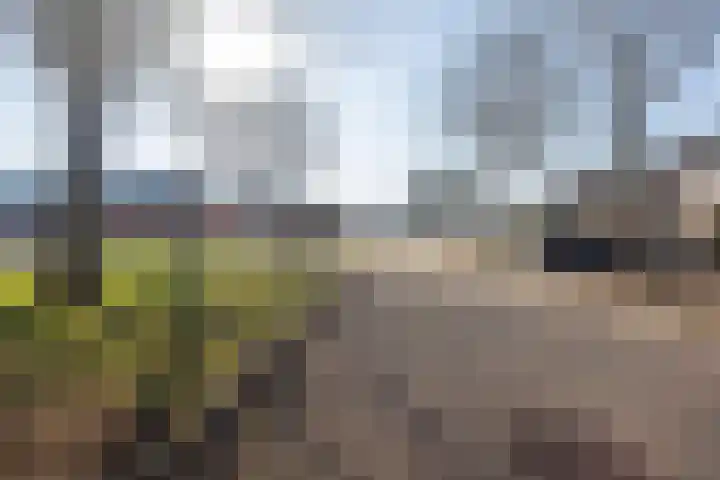 Jol 17 17 33 Lelystad thumbnail 50