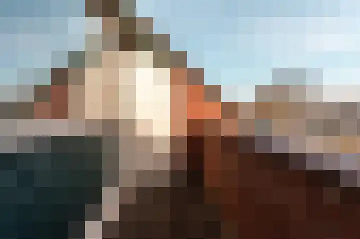 Jol 17 17 39 Lelystad thumbnail 34