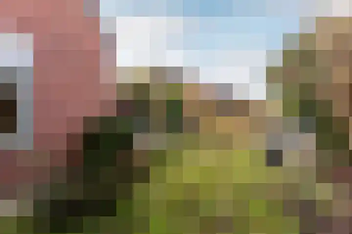 Jol 17 17 39 Lelystad thumbnail 41