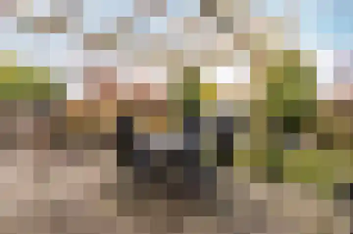 Jol 17 17 39 Lelystad thumbnail 42