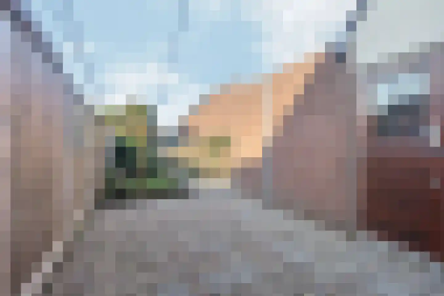 Jol 17 33 Lelystad thumbnail 42