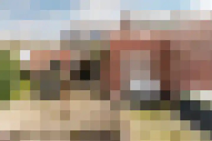 Jol 17 39 Lelystad thumbnail 39