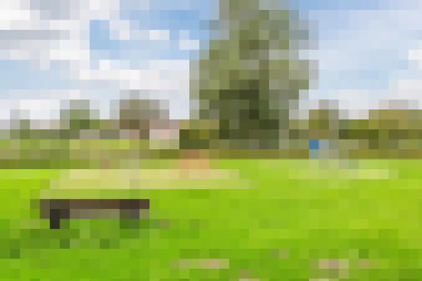 Jol 20 3 Lelystad thumbnail 31