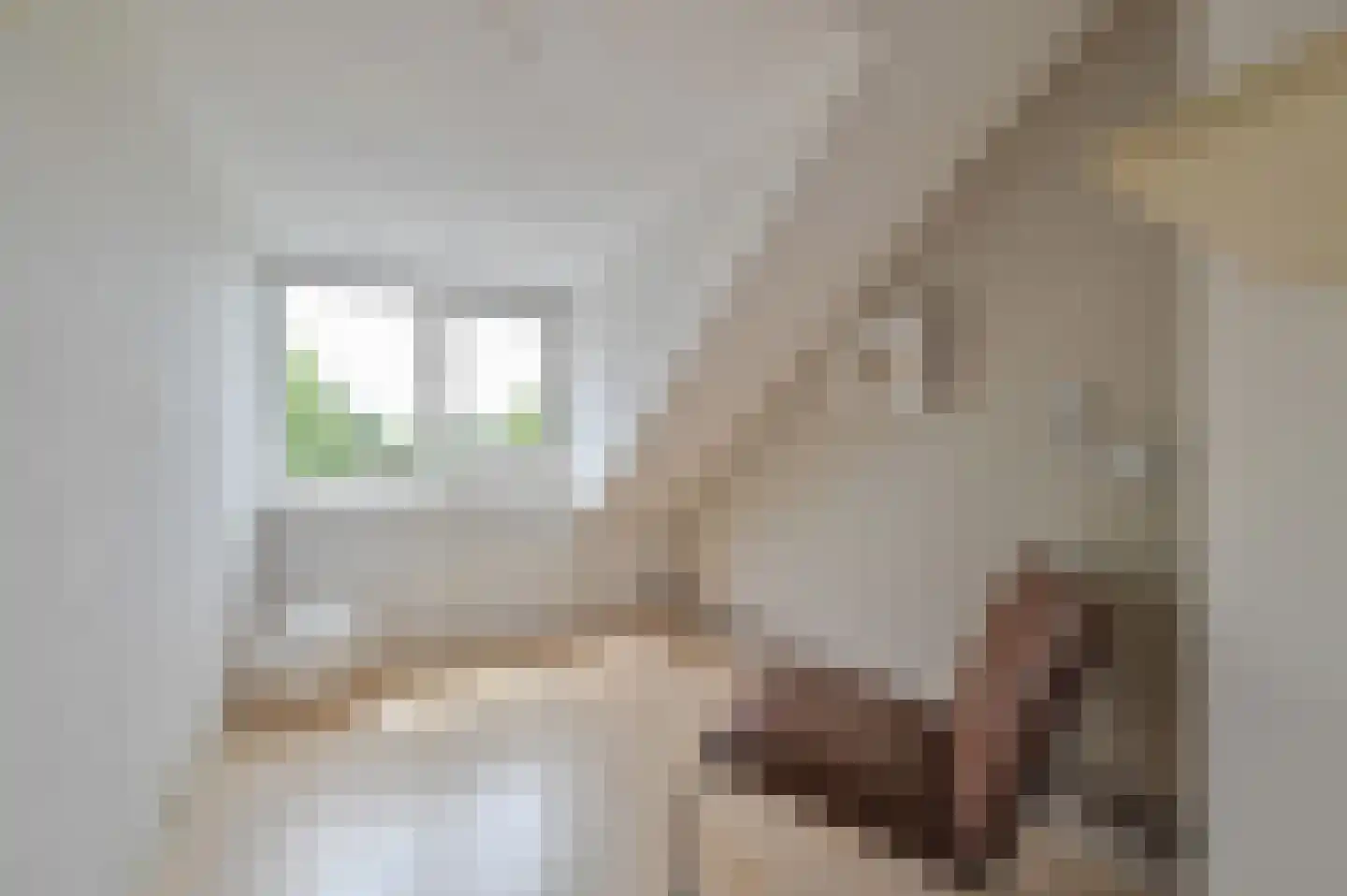 Jol 221 Amstelveen thumbnail 21
