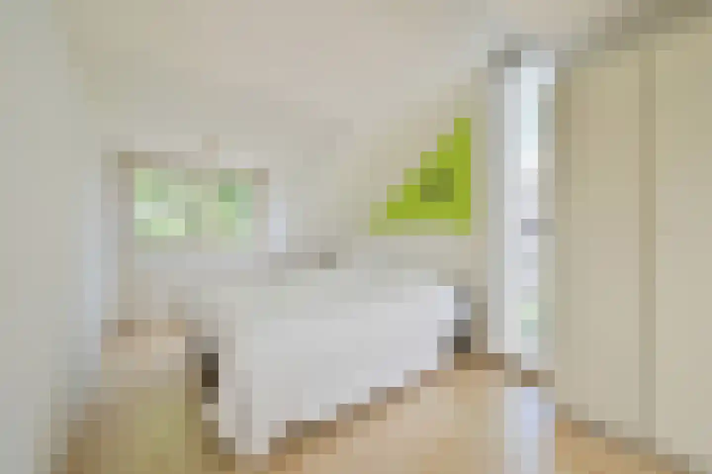Jol 221 Amstelveen thumbnail 23