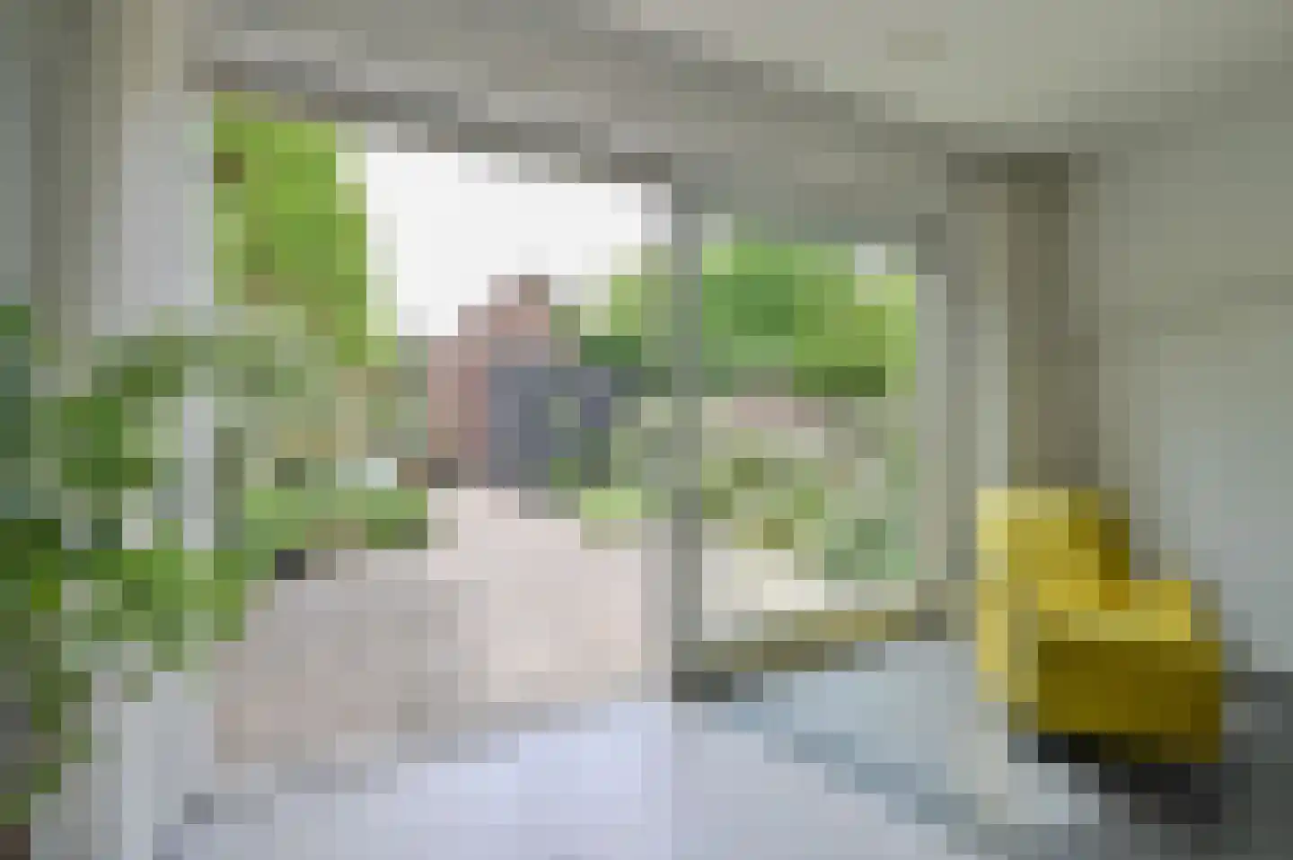 Jol 221 Amstelveen thumbnail 26