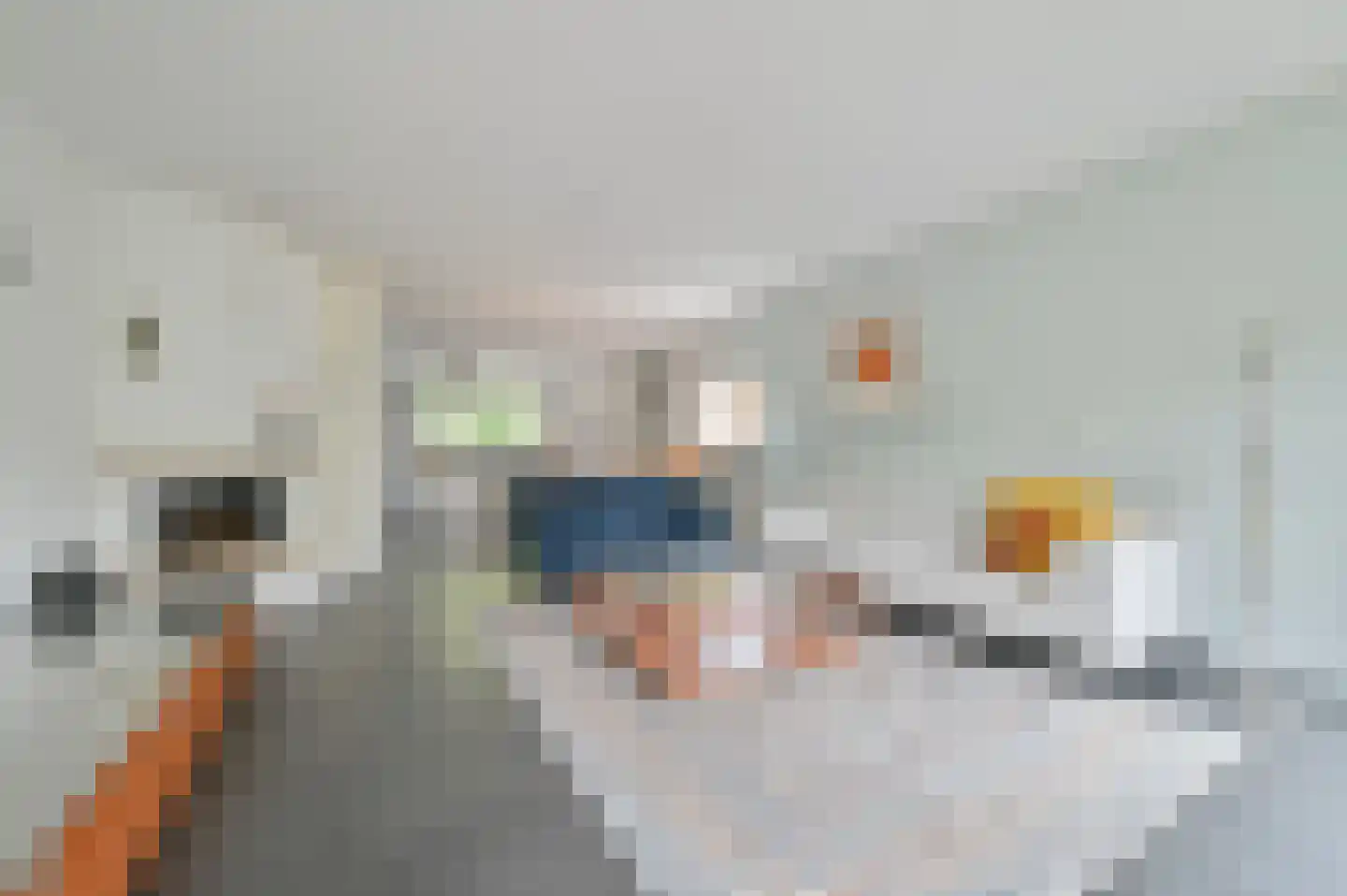Jol 221 Amstelveen thumbnail 6