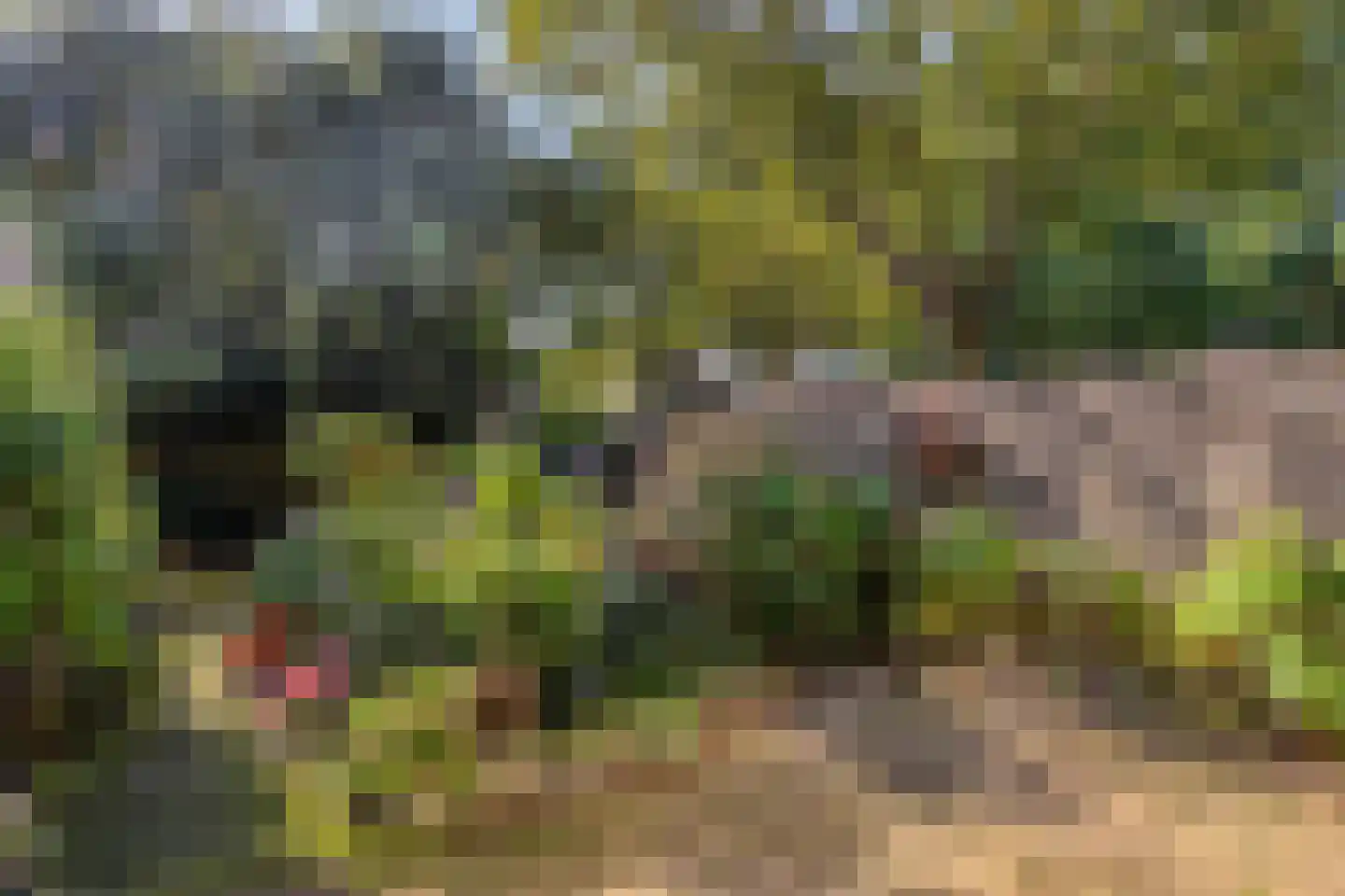 Jol 227 Amstelveen thumbnail 20