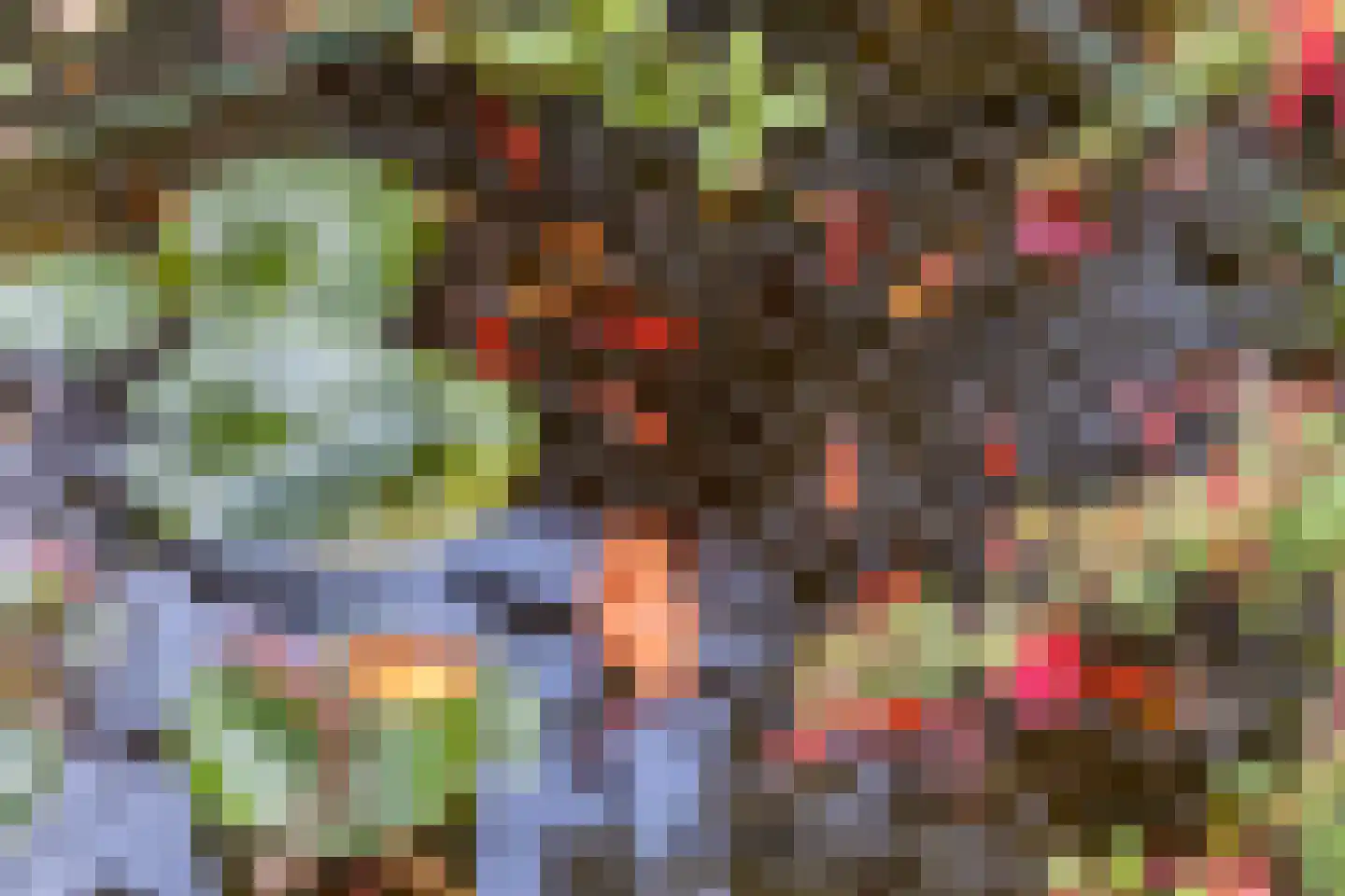 Jol 227 Amstelveen thumbnail 21