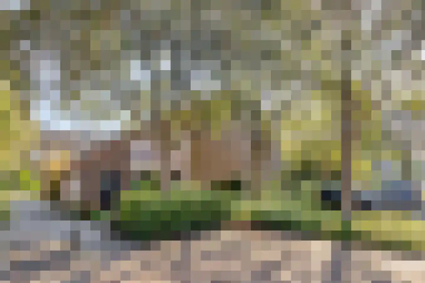 Jol 227 Amstelveen thumbnail 23