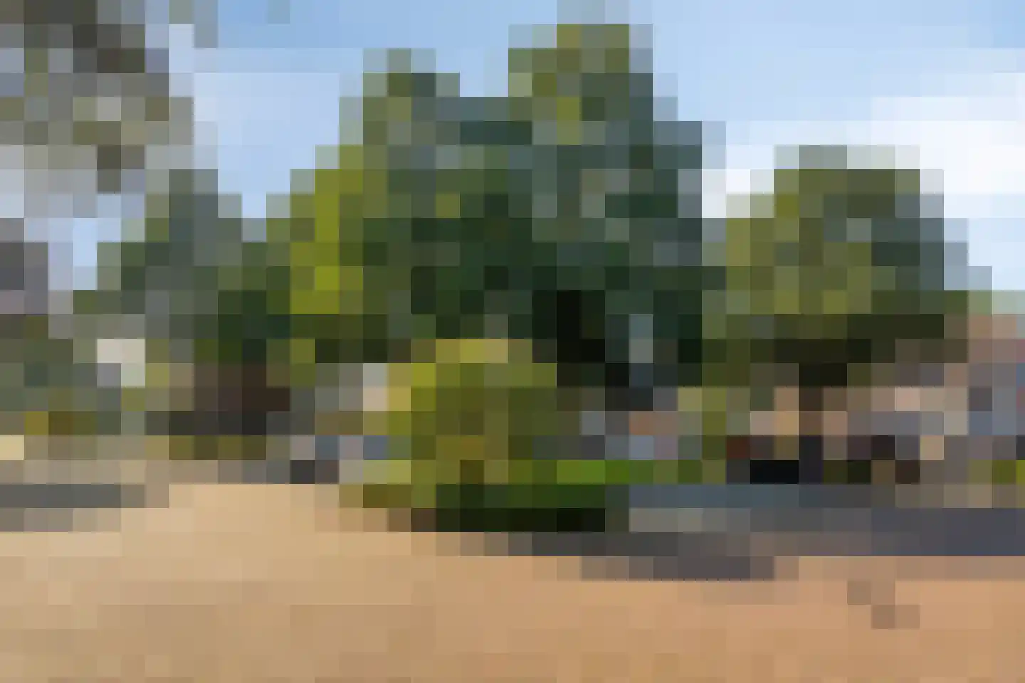 Jol 227 Amstelveen thumbnail 24