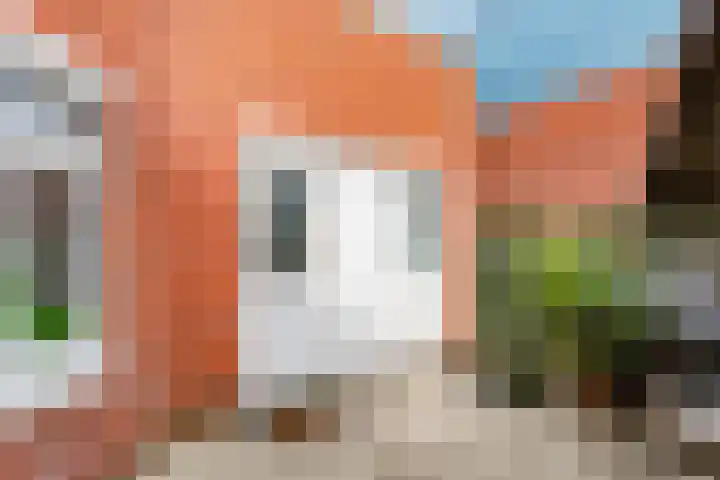 Jol 23 13 Lelystad thumbnail 26