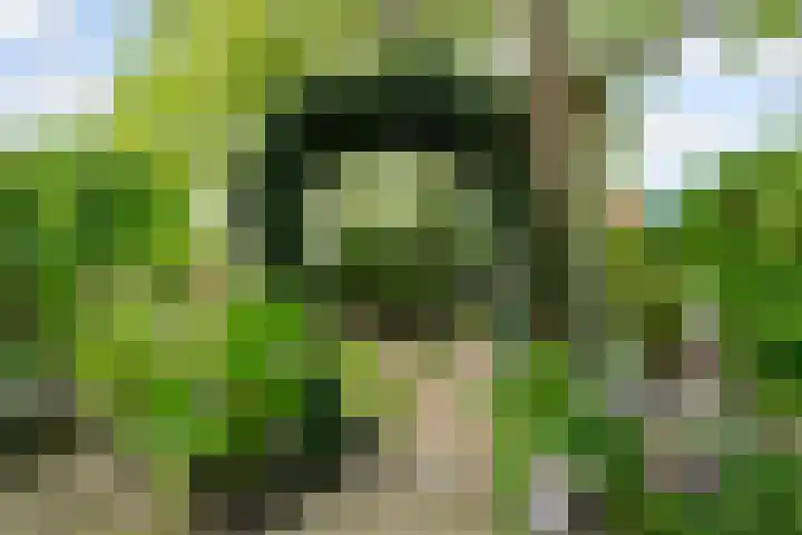 Jol 23 13 Lelystad thumbnail 30