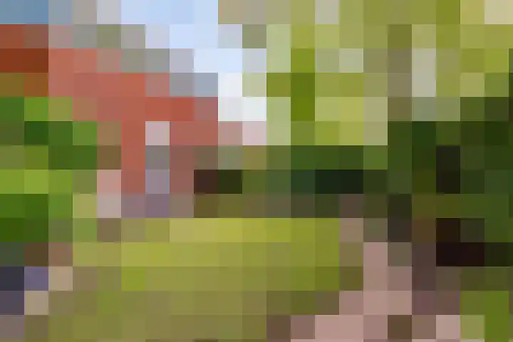 Jol 23 13 Lelystad thumbnail 32