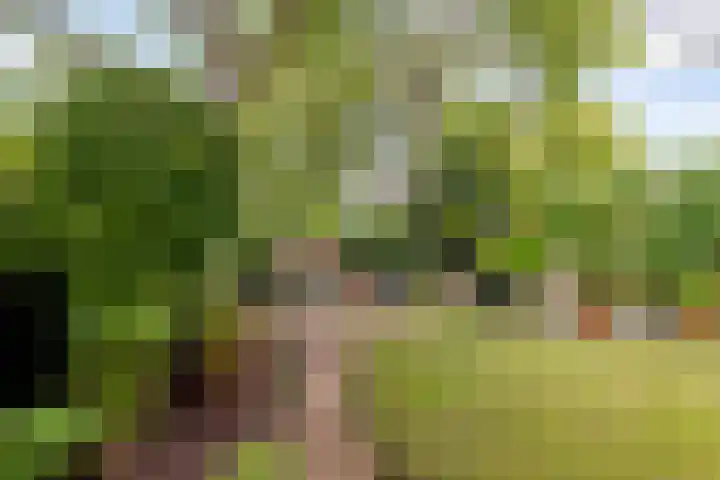 Jol 23 13 Lelystad thumbnail 33