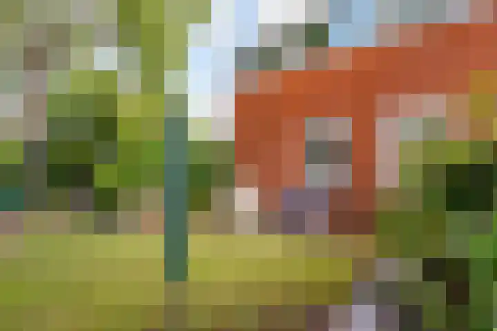 Jol 23 13 Lelystad thumbnail 34