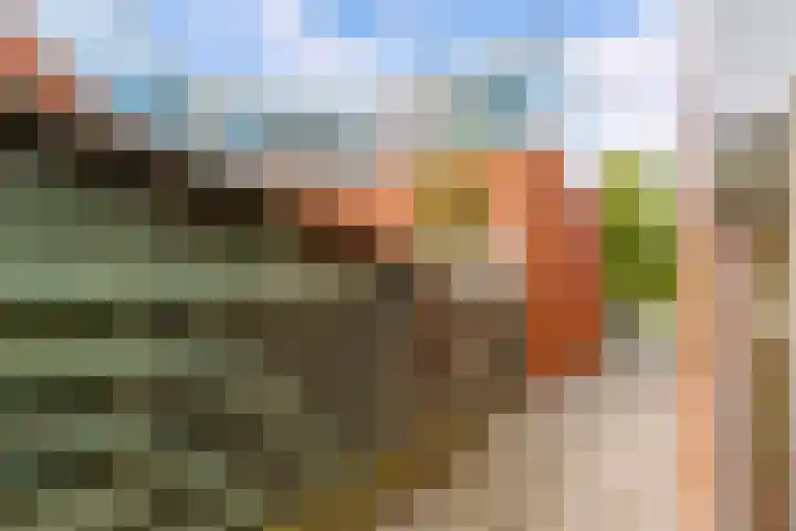 Jol 23 13 Lelystad thumbnail 35