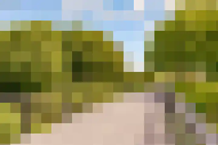 Jol 23 13 Lelystad thumbnail 42