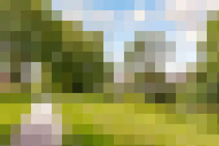 Jol 23 23 13 Lelystad thumbnail 40