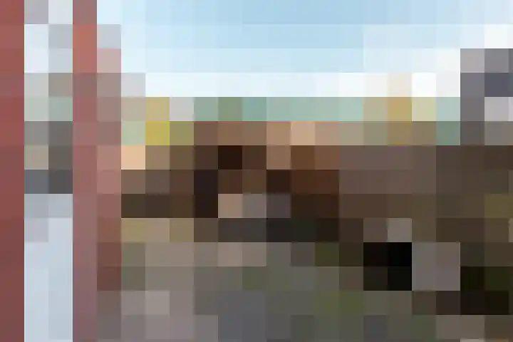 Jol 24 24 20 Lelystad thumbnail 18