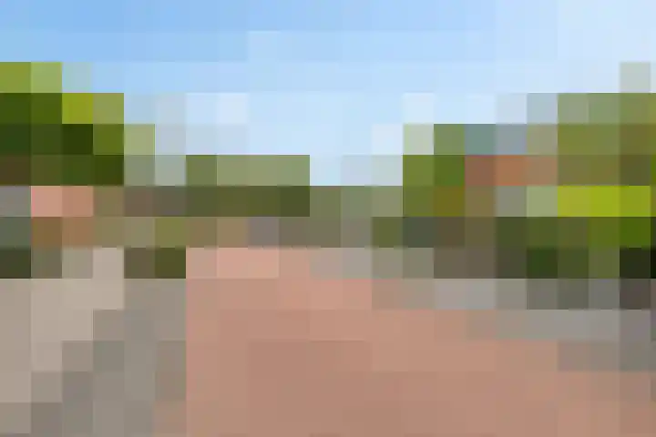 Jol 24 24 39 Lelystad thumbnail 33