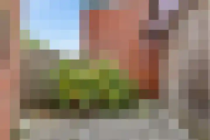 Jol 24 39 Lelystad thumbnail 31