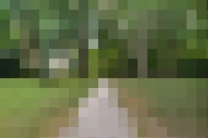 Jol 24 39 Lelystad thumbnail 34