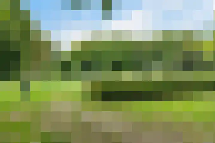 Jol 24 39 Lelystad thumbnail 35