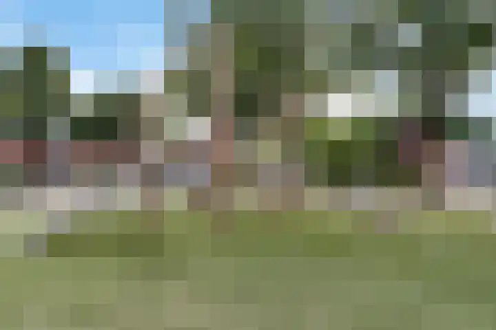 Jol 24 39 Lelystad thumbnail 36