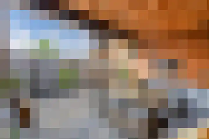 Jol 25 12 Lelystad thumbnail 21