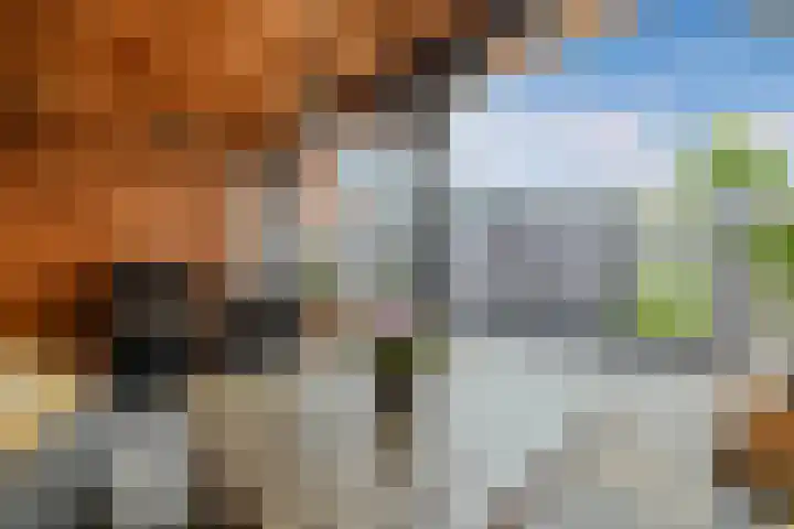 Jol 25 12 Lelystad thumbnail 22