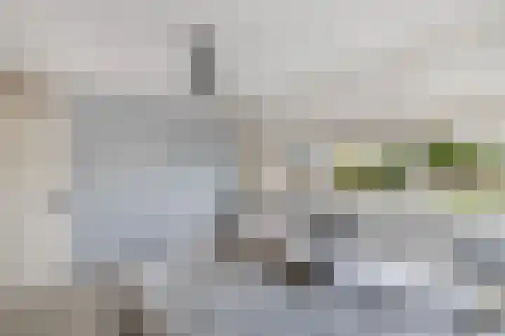 Jol 25 12 Lelystad thumbnail 30