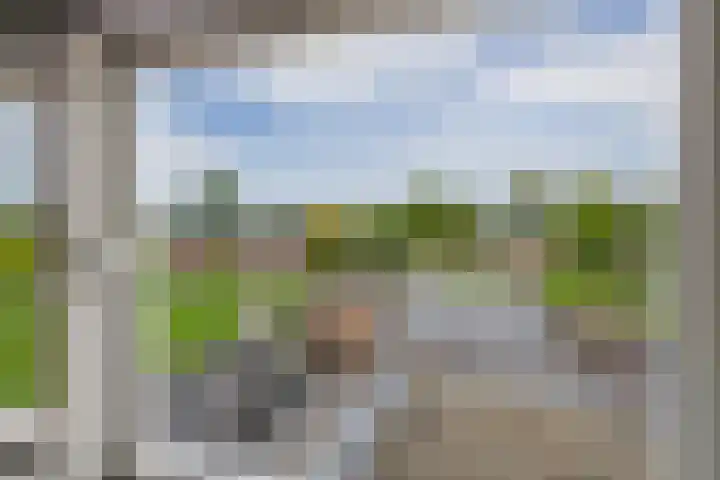 Jol 25 12 Lelystad thumbnail 31