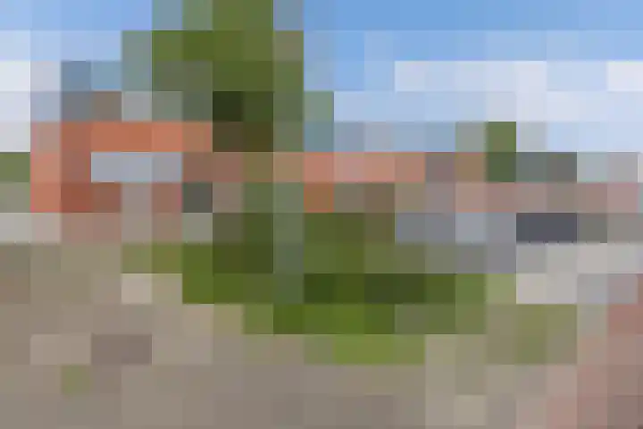 Jol 25 12 Lelystad thumbnail 37