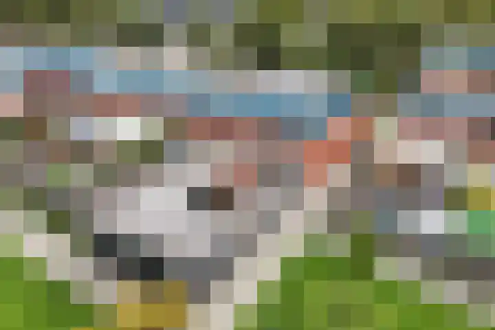 Jol 25 12 Lelystad thumbnail 39