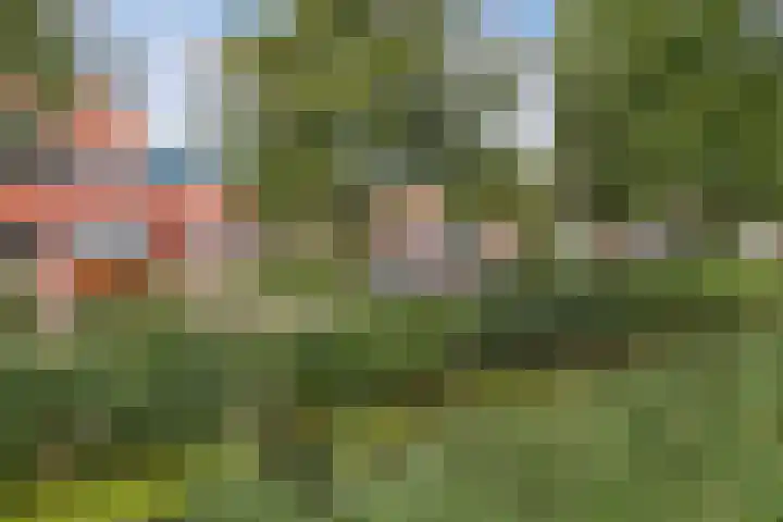 Jol 25 12 Lelystad thumbnail 41