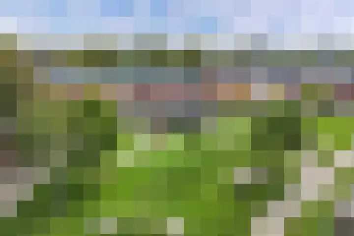 Jol 25 12 Lelystad thumbnail 43